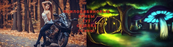 дурь Михайловка