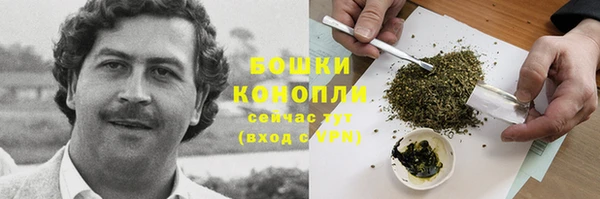трава Михайловск