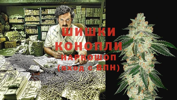 ECSTASY Медногорск