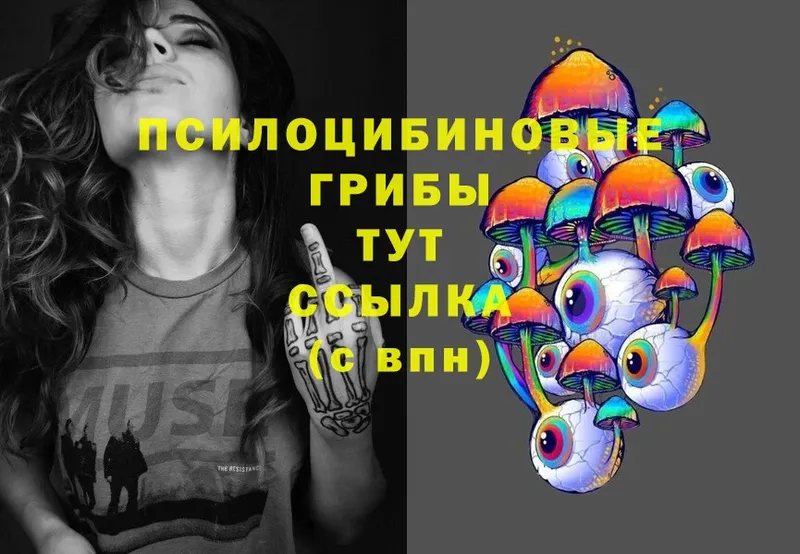 Псилоцибиновые грибы MAGIC MUSHROOMS  МЕГА ссылки  Собинка 